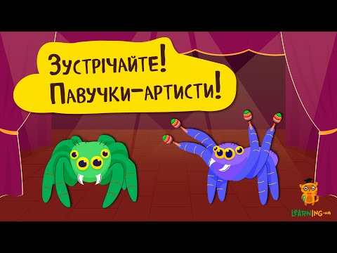 Дива природи. Явища навколо нас. Павичеві павуки