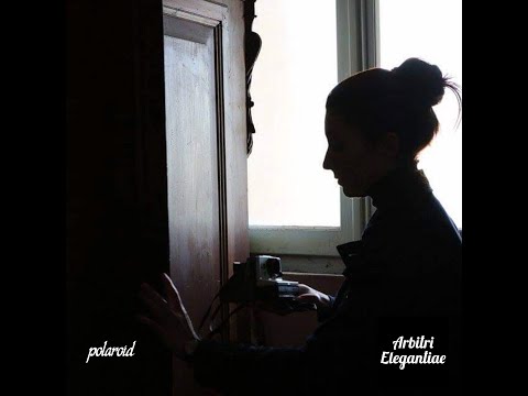 Arbitri Elegantiae - Polaroid (video musicale)