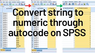How to convert string to numeric variable on SPSS without losing data
