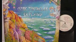 Ozric Tentacles - Mysticum Arabicola.wmv