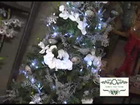 Programa Neusa Bighetti exibido no dia 18/11/2012 - Galeria das Flores