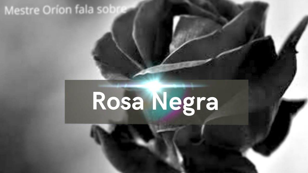 Rosa Negra