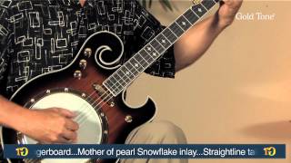 Gold Tone EBM5 Electric Banjo