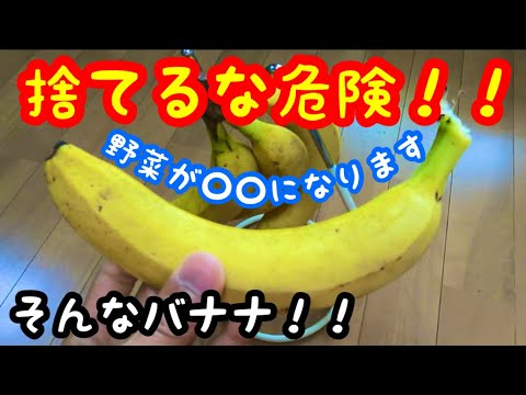 イラクサ肥料の作り方 雑草の使い方を知る