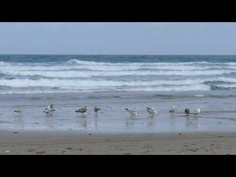 sea side beautifull view 7