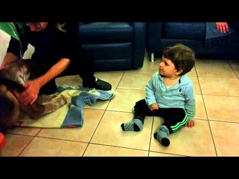 Piccolo uomo vs piccolo cane