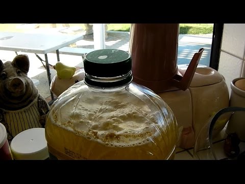 Brewing Hard Cider with Lalvin EC-1118, Beast of a Yeast