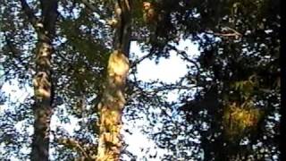 The Good Earth - 2009 video prod. by Tek