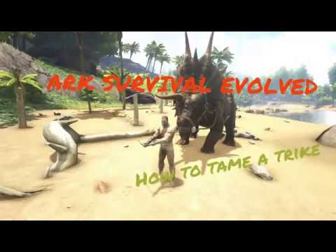 HOW TO EASILY TAME A TRIKE AT LOW LEVEL - ARK SURVIVAL EVOLVED