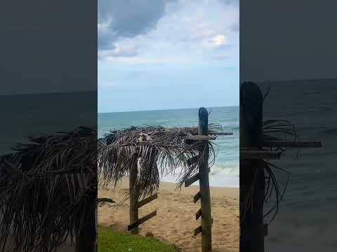 Wonders of Brazil #rhei #turismo