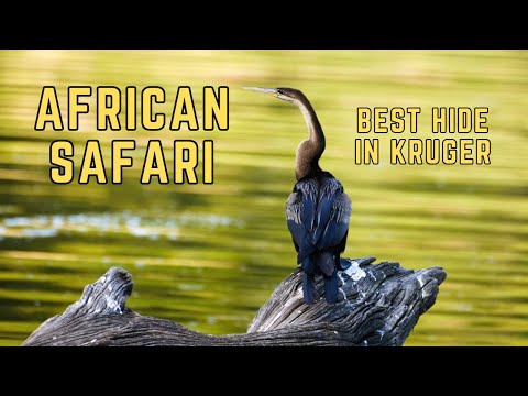 Lake Panic Hide : A Must-Visit for Bird-Watchers & Photography Enthusiasts