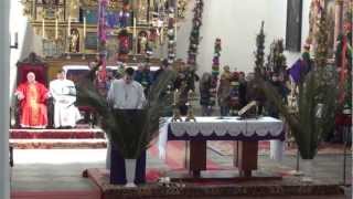 preview picture of video 'Nowy Staw: Niedziela Palmowa. Jezus przyjechał na osiołku - 24.03.2013'