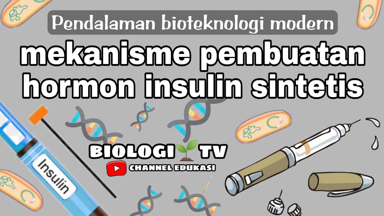 pembuatan hormon insulin sintetis / buatan - bioteknologi modern materi sma biologi kelas 12