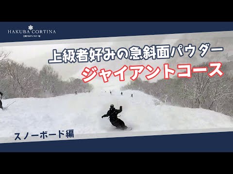 Video: 白馬コルチナのコース紹介【ジャイアントコース】上級者好みの急斜面パウダー #snowboard #hakuba #スキー場