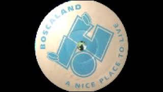 Retro-grams - The Logan EP (Boscaland recordings 04) 1993. A2: Logan analog 2.