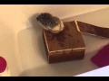 Hedgehog Bath Time Dive Meeko