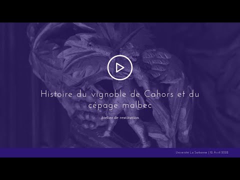 Histoire du vignoble de Cahors et du cépage Malbec
