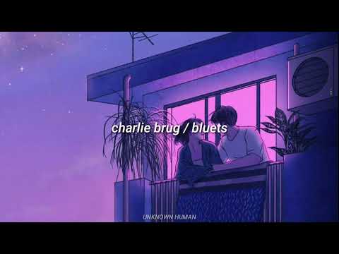 Lovesong (the way) // charlie BURG ft bluets ~lyrics~