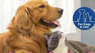 🧬 Is Your Pet Sick? Find Out Why with This 2-Minute Home Tes