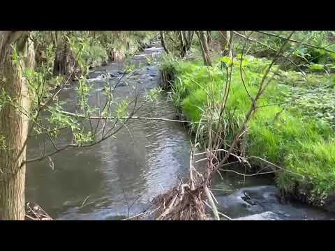 Hörder Bachmündung in die Emscher. Beide schön umgestaltet.