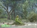 Sesame Street Elmo S World 1329