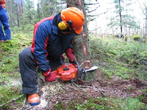 Metsolan Metsäkoulu 45, Hankintatyön kannattavuuspohdintoja.