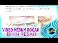 VIDEO MESUM BOCAH BIKIN RESAH