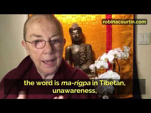 We need to understand our mistaken view of a ‘self’. Robina Courtin, Noble Park, 2020