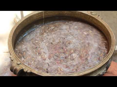 Vatha kodari thailam