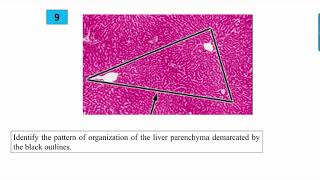 Revision second year first term 2017