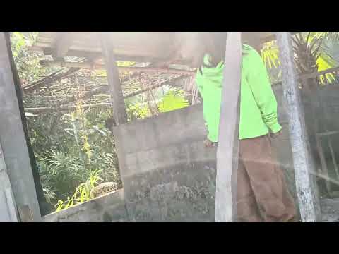 Yishali Noshi and Tumree Noshi showing their domestic pets,❤️