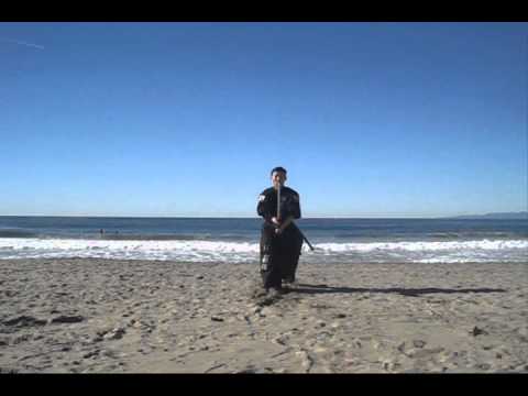 Haidong Gumdo - video #175