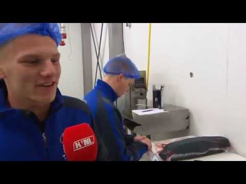 SV Urk - AFC Ajax / Visco Visgroothandel