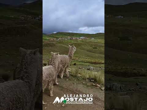 Proyecto Cocapata Covendo, Carretera Cochabamba - Beni