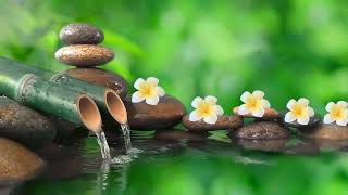 Download lagu [If you listen to it for 5 min you will go into deep sleep immediately] Relax the music of the water mp3