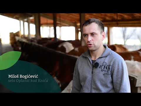 Naša priča ep.119 01.12.2017.