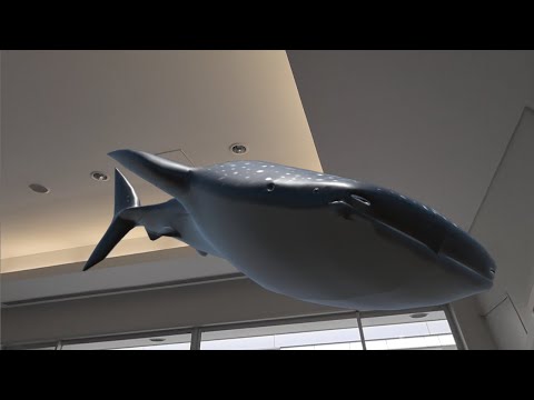 【バーチャル水族館】メディア情報学科 出原立子研究室 制作