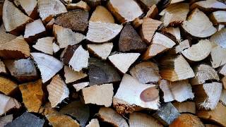 Carta da Parati Effetto Legno - Per uno stile rustico e accogliente