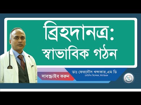 ব্রিহদানত্র:: স্বাভাবিক গঠন।