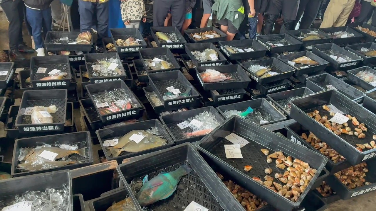 沖縄南部、田舎にある港に沢山の魚介類と人が集まる日（知念漁協海人とれとれ朝市）