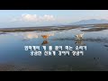 'https://youtu.be/qcY' 글에 포함된 동영상