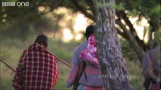 Attitude is everything - Three Men vs. Fifteen Hungry Lions