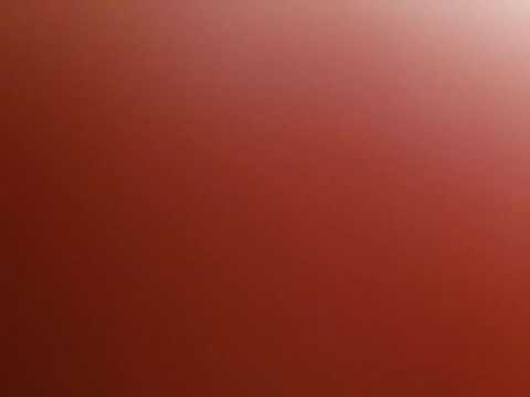 Germany.Merseburg Navratri Indian festival 12.10.2019