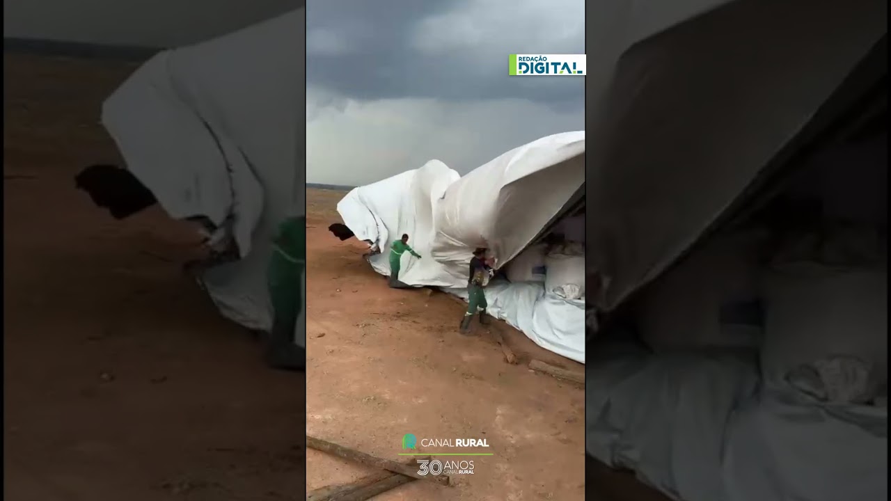 Forte ventania dificulta trabalho de funcionários e rende cena inusitada