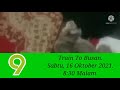 Promo Train To Busan 16 Oktober 2021 TV9 Magnificent8