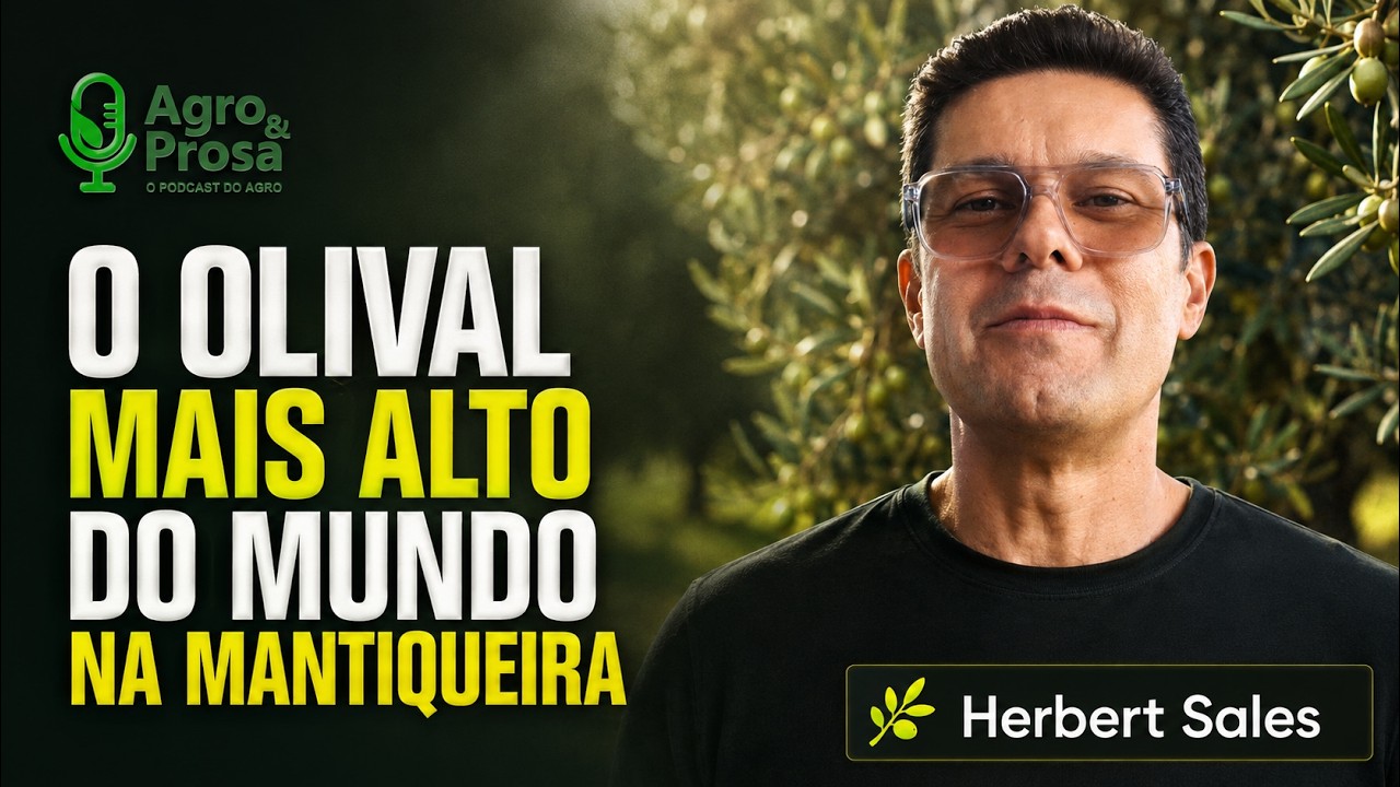 Azeite da Mantiqueira conquista prêmios na Europa