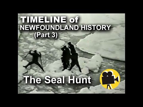 TIMELINE of Newfoundland History, Part 3: The Seal Fishery... and beyond.