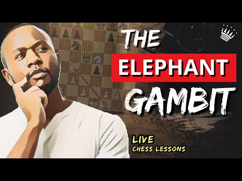 The FORGOTTEN Elephant Gambit That Stunned My Opponents!