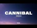 Kesha Cannibal Lyrics