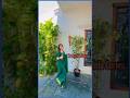 Anbe Va Serial Actress Delna Davis Dancing For Trending Song Shorts Short Reels Reelsindia Love
